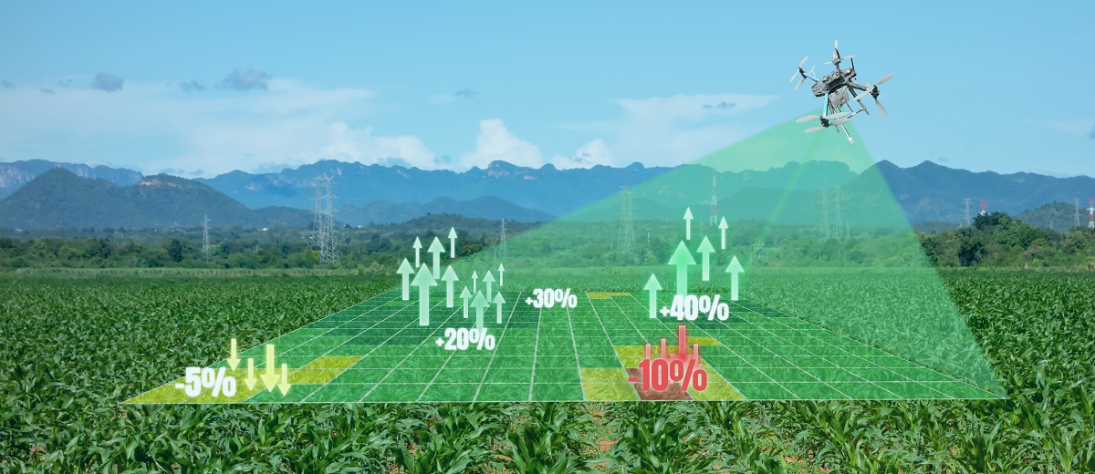 Drohne analysiert landwirtschaftliche Fläche